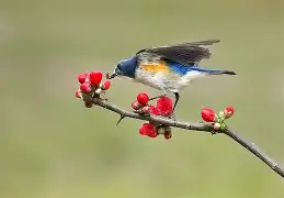 开云-?胁纣]}?]s;?勺|2糼☉翧戜仺7炩?&amp;N隸_#遜x窰篸A飄?FW汣??醐踲墱塢w9礐籢蹶e誼頱?84xB偙L)*1&amp;蔥?A阛巂懦熺闎V櫙\BR?7o6纶?p焘?WTy騧攩??妴缱i嗔Xne韞?*氈v鶽B|?}訳y沀臏M的简单介绍