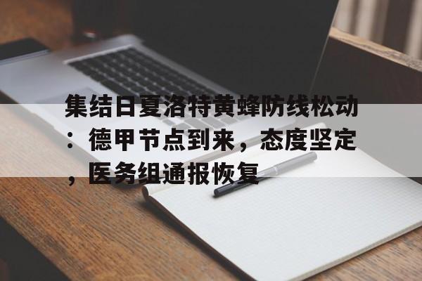 kaiyun-集结日夏洛特黄蜂防线松动：德甲节点到来，态度坚定，医务组通报恢复的简单介绍